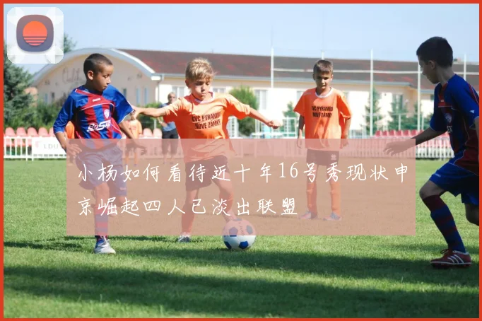 小杨如何看待近十年16号秀现状申京崛起四人已淡出联盟