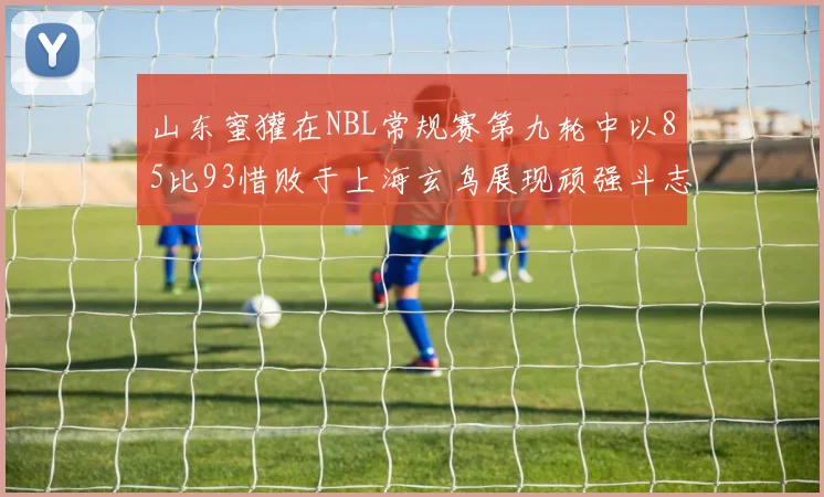 山东蜜獾在NBL常规赛第九轮中以85比93惜败于上海玄鸟展现顽强斗志