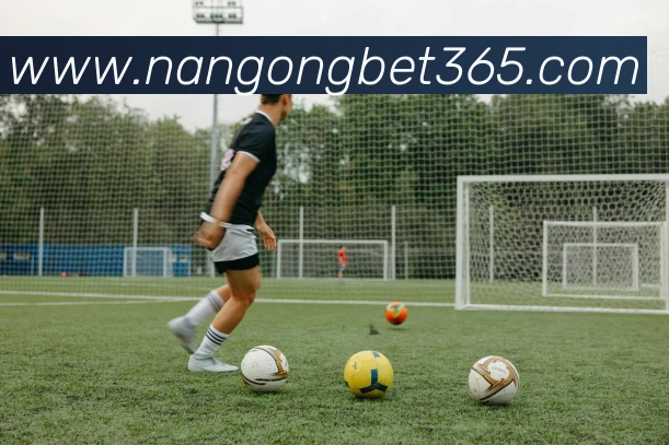 南宫体育APP 封面图